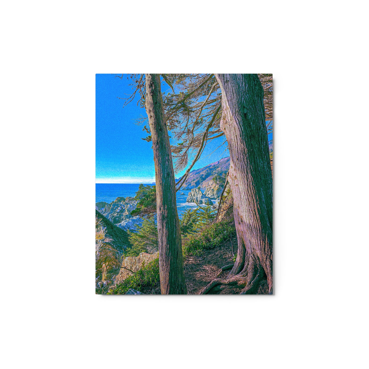 "Big Sur: On The Edge" 8x10 Metal prints