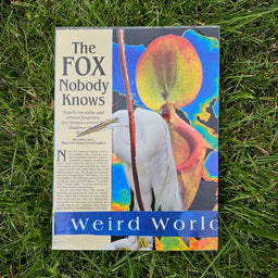 The Fox Nobody Knows Collage