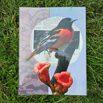 Avian Bloom Collage